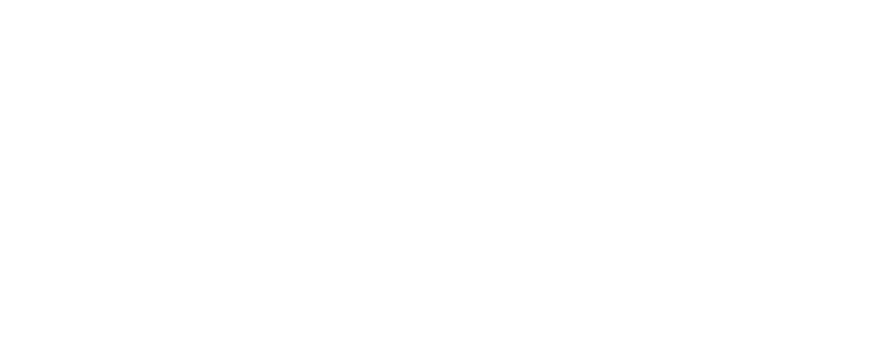 Duosistem